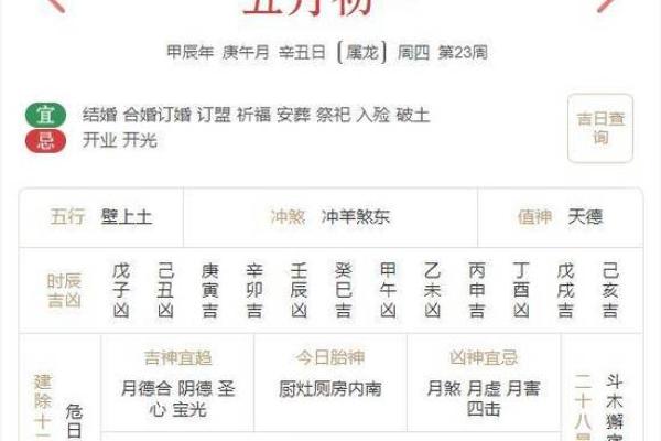 2024年属鼠的每月运程完整版，事业感情健康全面分析指南。