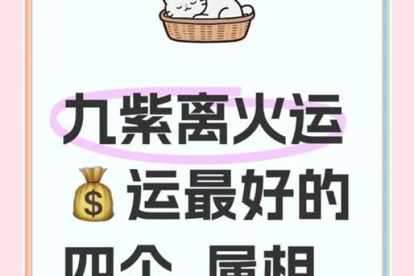 九紫离火运最旺6生肖