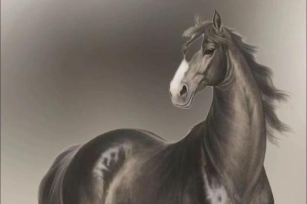 78年属什么生肖