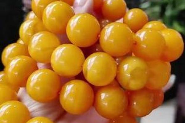 蜜蜡最旺的三个属相