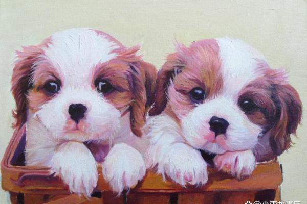 1994年属狗的最佳配偶