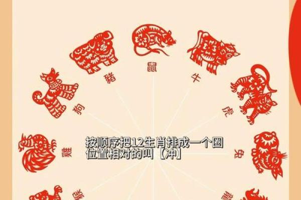 12生肖相冲相克表