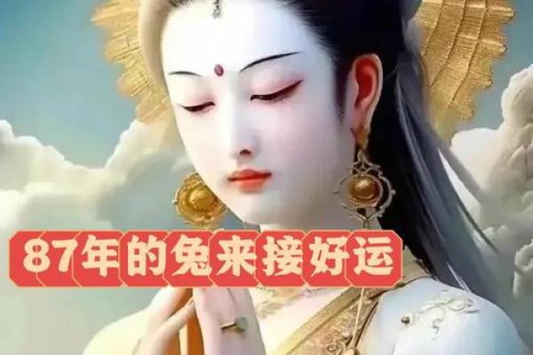 87年属什么生肖 87年属什么生肖