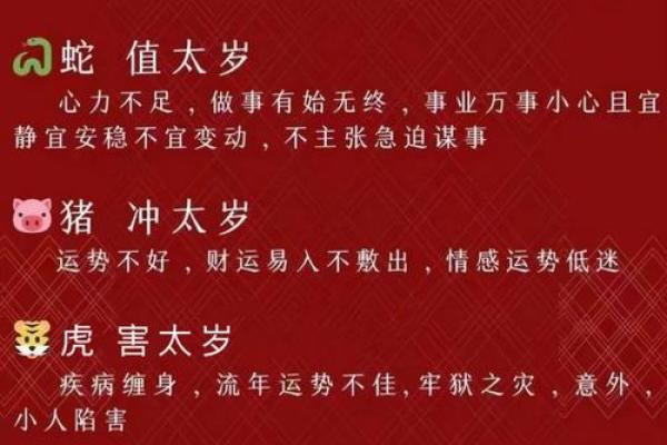 明年犯太岁的属相