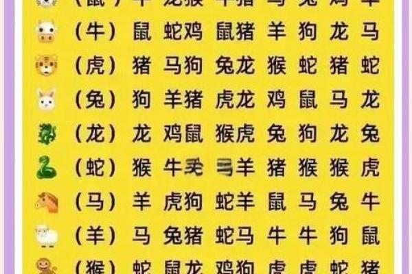 兔犯冲的四个属相