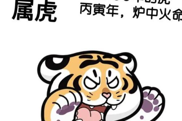 属虎的是哪年出生的