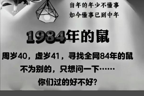 1984年属鼠是什么命