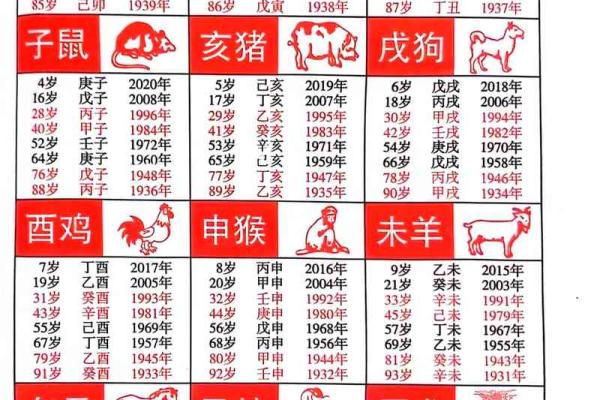 2017年属什么生肖