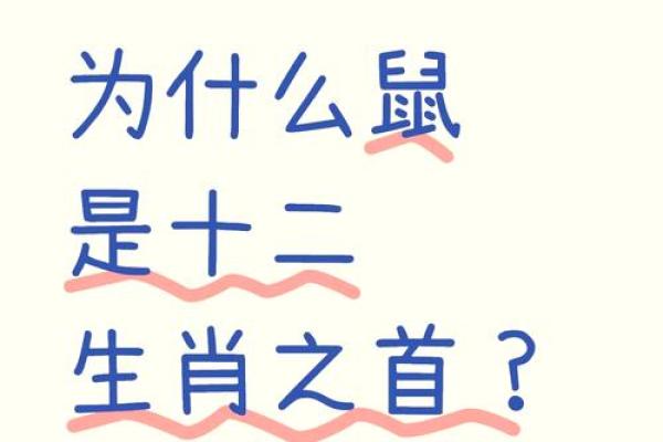 最穷的生肖第一名