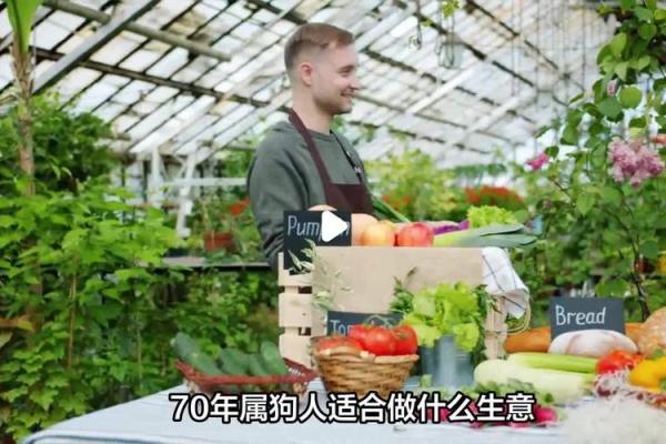 属狗人适合做什么生意 属狗人适合做什么生意