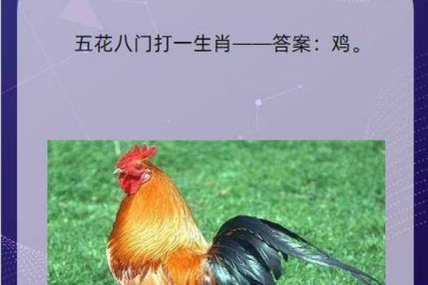 虎猪6合在地支是指什么生肖 虎猪6合在地支是指什么生肖
