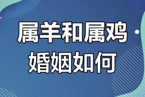 羊和什么属相最配