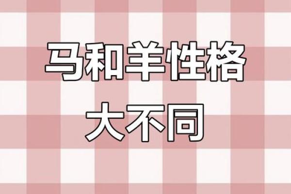 属羊和属马配不配