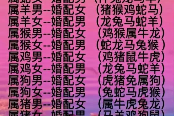 属鸡和属龙配不配