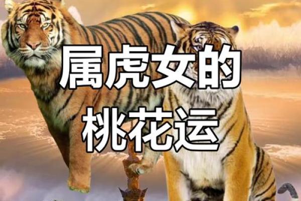 98年属虎最佳婚配属相