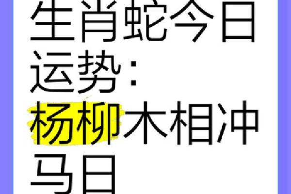 蛇和马属相合不合