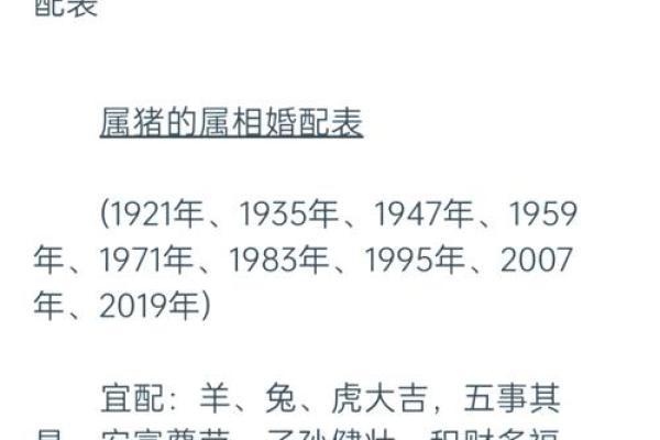 1995年属什么