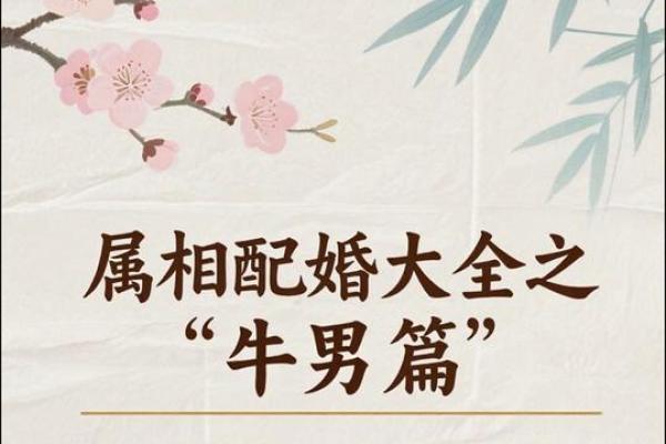 97年属牛的最佳婚配