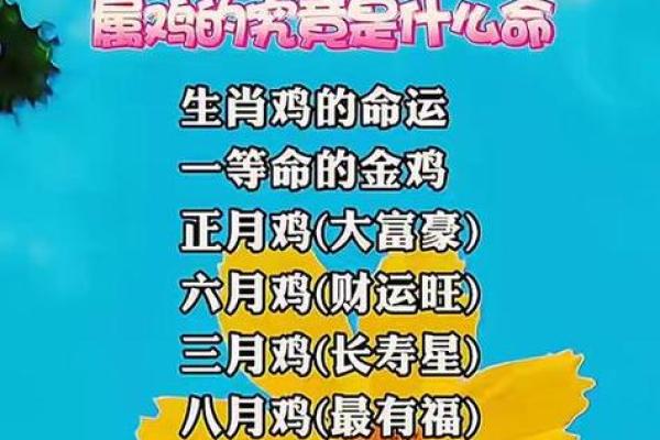 2026年属鸡的犯太岁吗