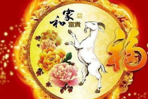 今晚最旺第一肖