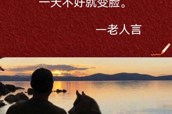 狗和谁是天生一对 狗和谁是天生一对