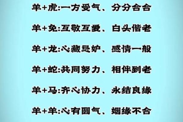 属羊的今年多大