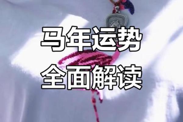 属马人2026年的全年运势