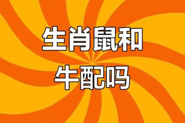 牛和什么属相最配