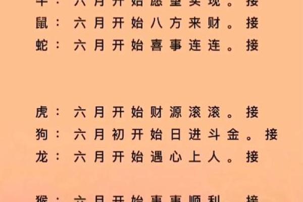 2026年转大运的生肖