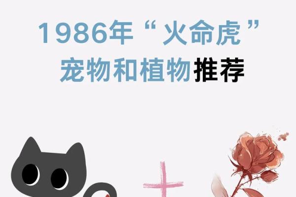 1986属虎最难熬的年龄