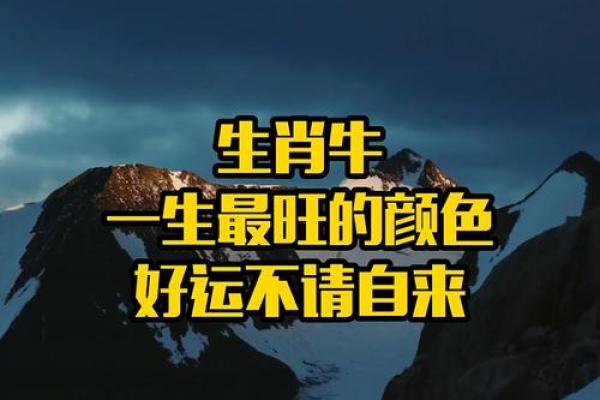 生肖牛今日运势