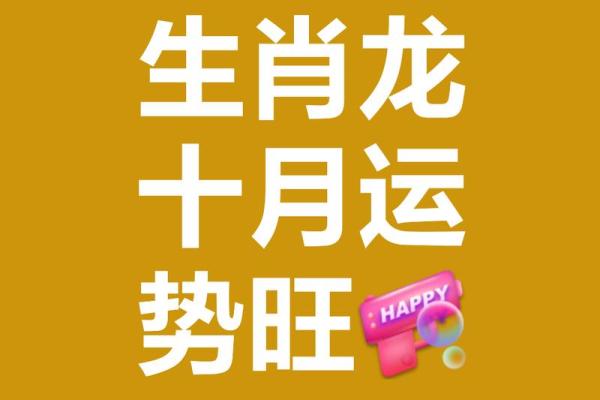 属龙人今日运势