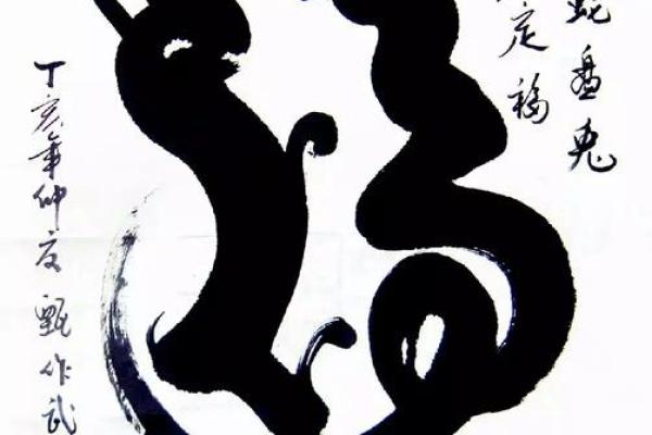 蛇和兔子属相合不合