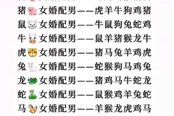 属猪的最佳婚配 属猪的最佳婚配