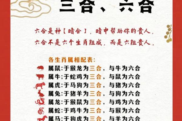 打最准确的三个生肖