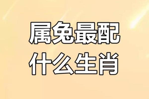 属兔和什么属相最配