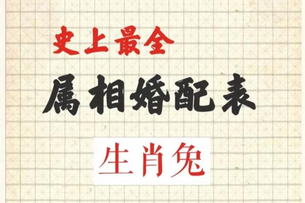 属兔和什么属相最配