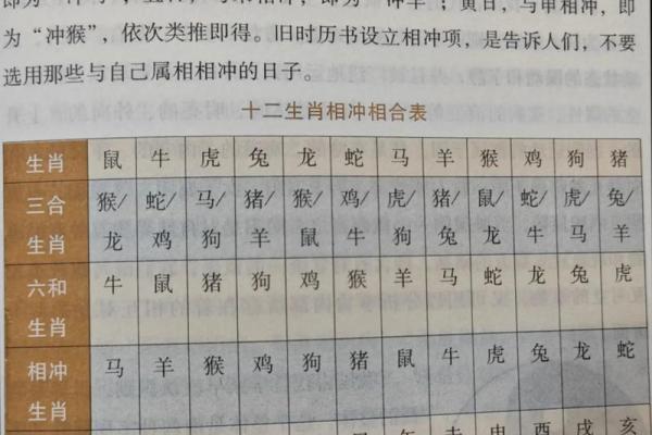 1998年属什么生肖