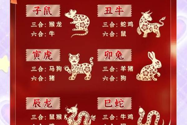 生肖3合6合3冲6害