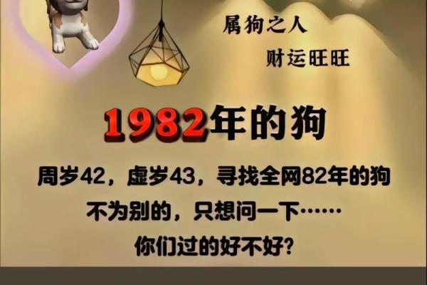 82年属什么的生肖