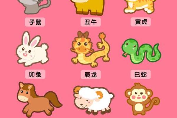 2021年属什么生肖