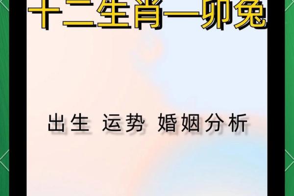 27岁属什么生肖