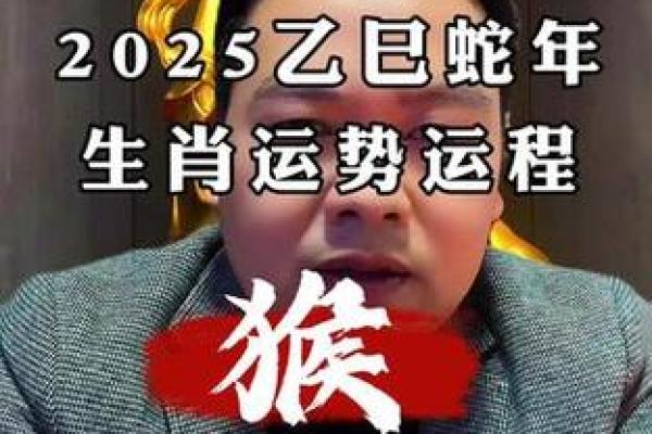 属猴的今年多大了