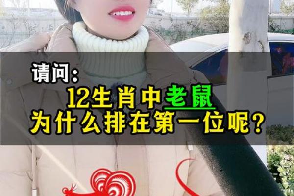 属鼠是哪年出生的