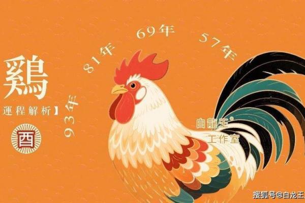 1969年属鸡人在2026年运势及运程 1969年属鸡人在2026年运势是什么意思？
