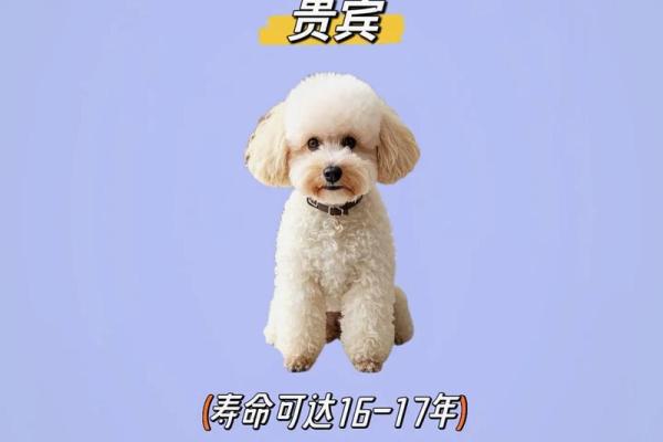 寿命最长的3个生肖