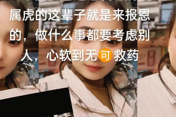 十虎九苦,哪个月份最苦