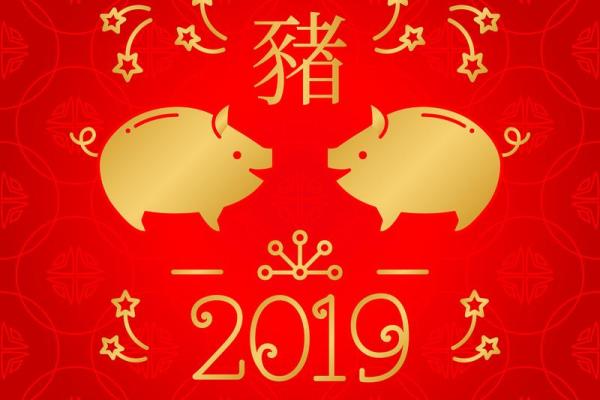 生肖猪今日运势 生肖猪今日运势