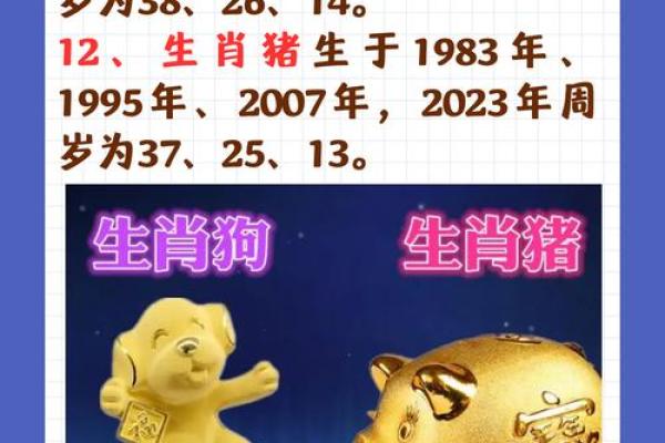 1986年属什么生肖