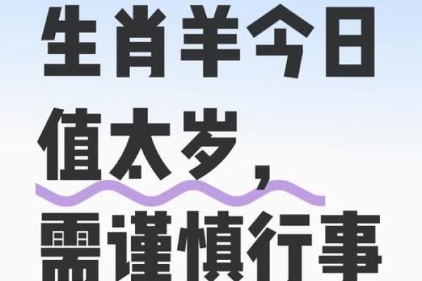 属羊的今年多大了